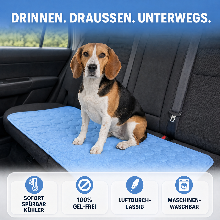 TatzenProfi Kühlmatte für Hunde – Bild 4